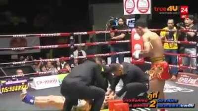Brutal elbow in a Muay Thai fight.
