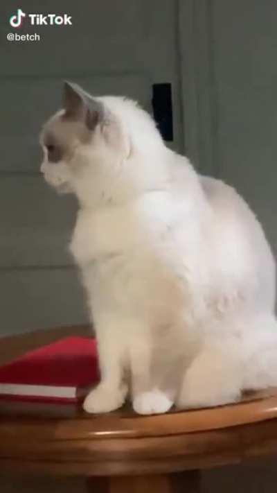 Face planted into the ground