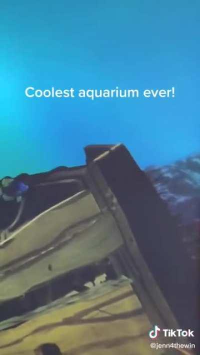 Интерактивный аквариум