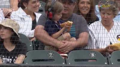 Kid drops his hot dog at a baseball game