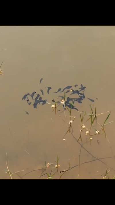 Members of heaven 28