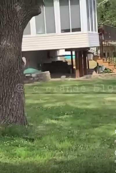 What could go wrong when you’re terrorizing a neighborhood