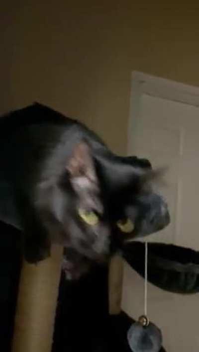 Winona Ryder begs in squeaks