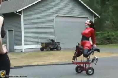 Human powered fucking machine