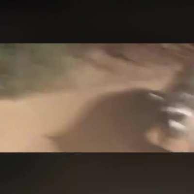 Sie haben uns erwischt, Jerry! Denk schnell!