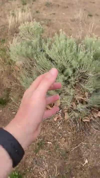 Fucking need twine again