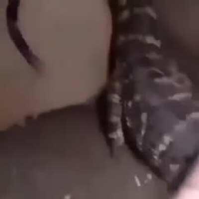 esto es tierno, extraño y preocupante al mismo tiempo