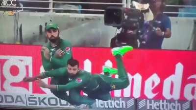 The consistency of Pakistan team..