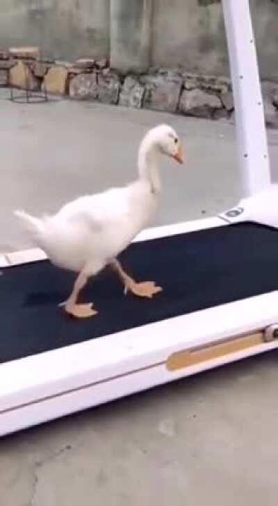 Чем не Майкл Джексон?