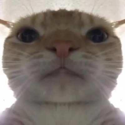 here's your recipe sir