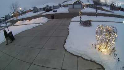 My corgis decided to joust...they were both ok