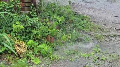 Discarded brick by an old barn's broken downspout in the rain.