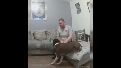 Pablo having such a big snooze that he scared his dad half to death