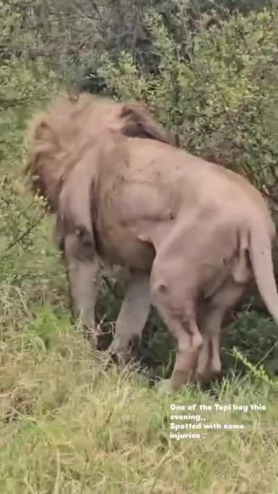 Ukingo is here this evening. He is in the recovery process. There is no clear explanation of what happened to him. He is being monitored by the teams.