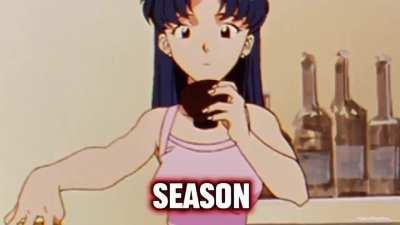 As Misato interrupted Shinji