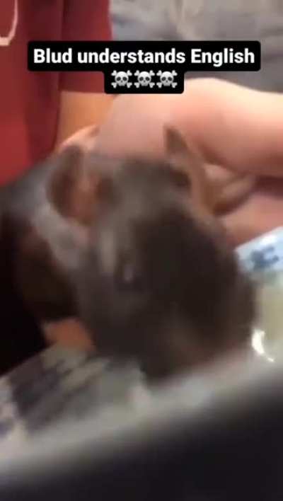 Bro will die within 24 hours