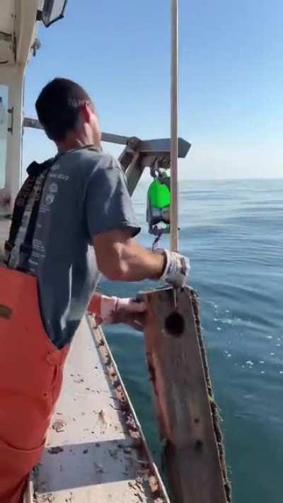 pretty big catch