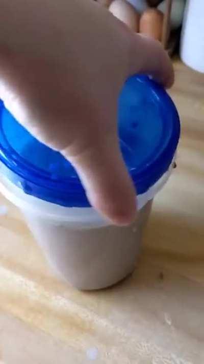 Feeding 11 PIRANHAS is no joke.