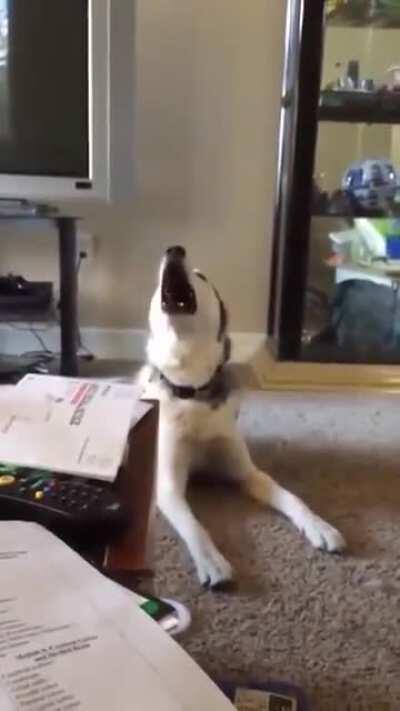 Чёт поорать захотелось...