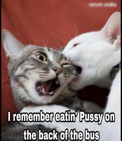 A little video of 'Nuts' I made