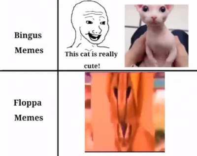 The absolute state of Floppa memery