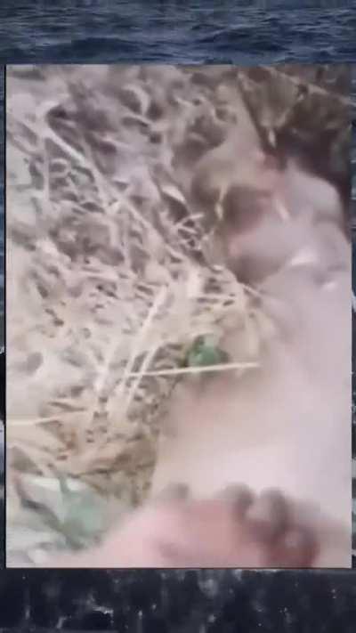 bro came back to life just to say ahhh