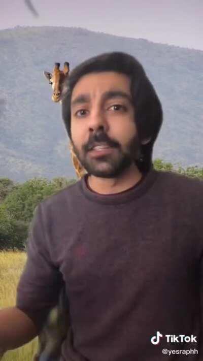 This guy has some very strong feelings about giraffes