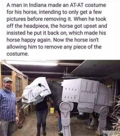 happy halloween 🎃