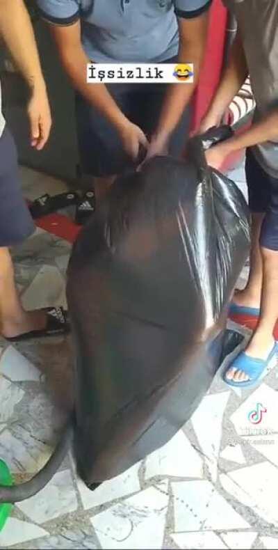 Ancient turkish mumification procces