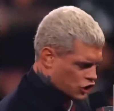 The new Cody Rhodes dick meme 
