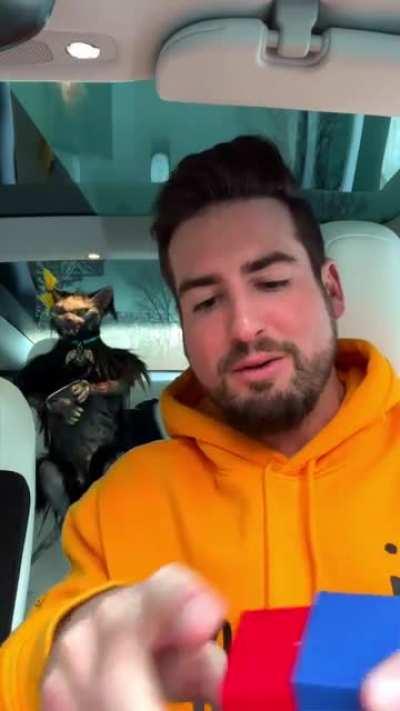 Which is bigger: the red cube or the blue cube?