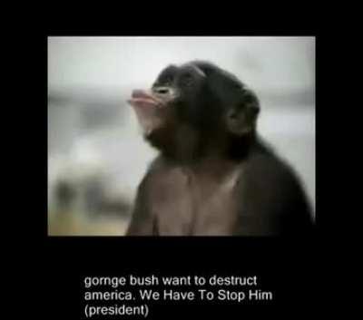 fake phone memes be like