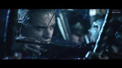 I AM NOT A CAT!!! 🚀 🚀 🚀