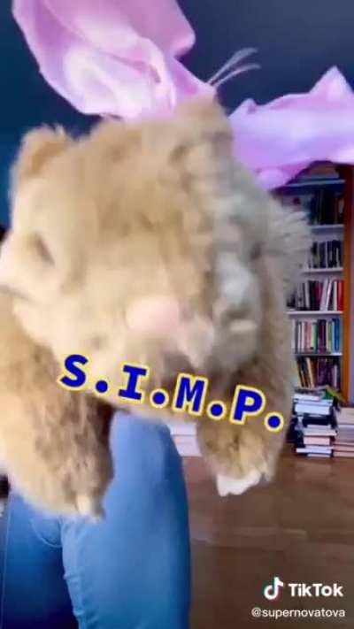 Tiktokcringe wholesome 😽