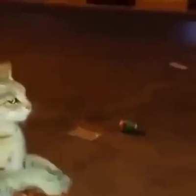 خميس القطاوى