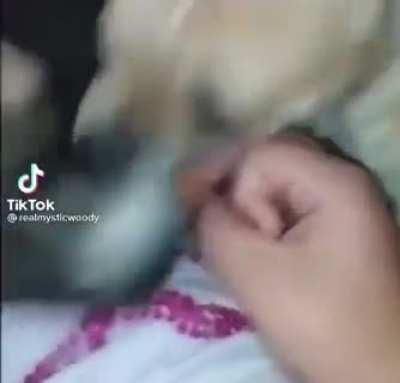 That escalated quickly