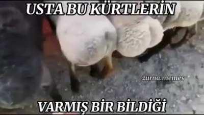 LDFMPCMDPXMDPSNDLDNS