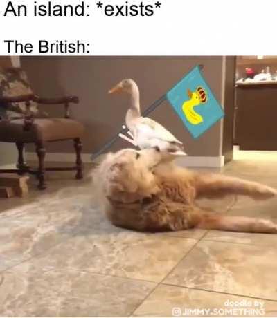 It's our island now!