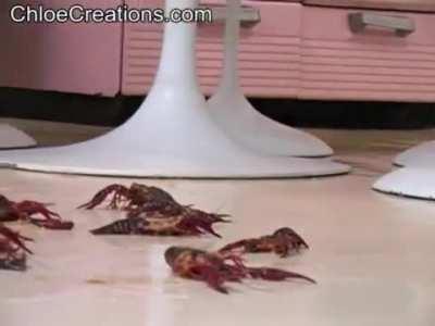 12) Crawfish destruction 