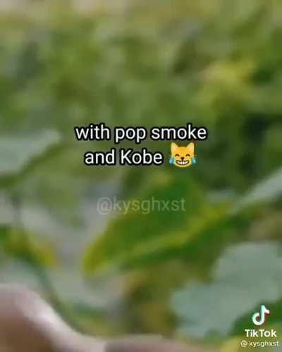 All girls the dame dior dior