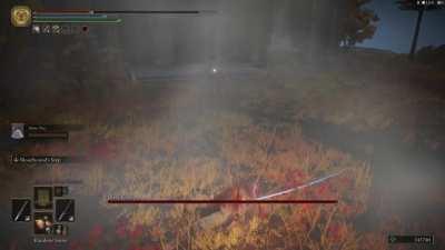 This is what 300h of Elden Ring looks like