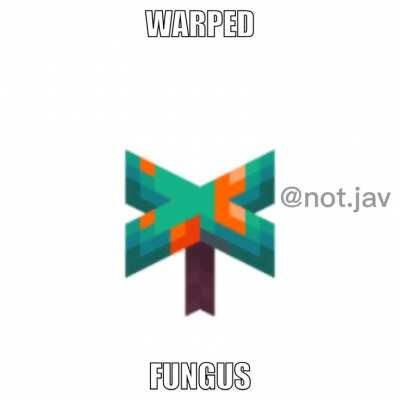 I’ve started making memes and it’s actually pretty fun.