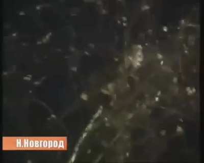 Rescuing a cat is in good hands