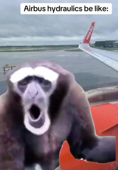 Airbus Hydraulics Be Like…