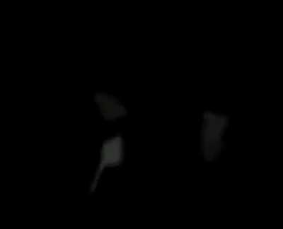 PUAAHAHAH HORT AMK HORT