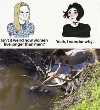 Regular Tuesday in Florida.