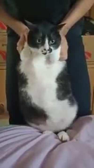 Getting out of quarantine