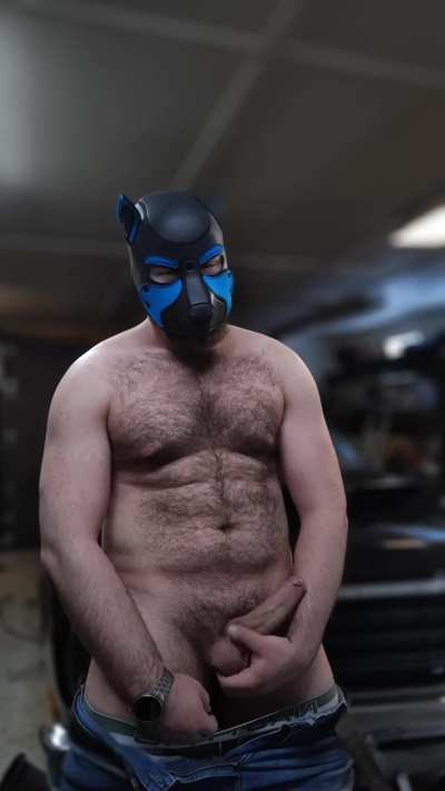 Who wants a service from this pup