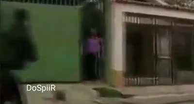 You could've knocked