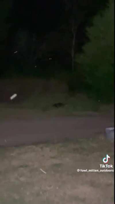 SKINWALKER STALKS ME